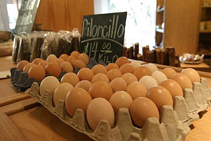 huevos-organicos-de-gallinas.jpg